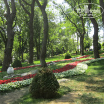 фото из отзыва ID 1004819