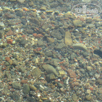 фото из отзыва ID 1004867