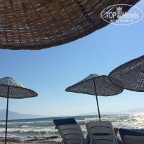 фото из отзыва ID 1004881