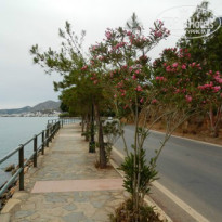 фото из отзыва ID 1004990