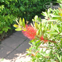 фото из отзыва ID 1005129