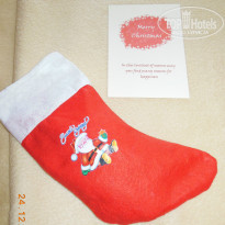 фото из отзыва ID 1005165