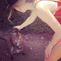 фото из отзыва ID 1005307