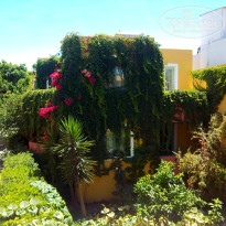 фото из отзыва ID 1005404