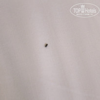 фото из отзыва ID 1005528