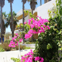 фото из отзыва ID 1005528