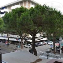 фото из отзыва ID 1005674