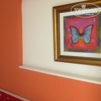 фото из отзыва ID 1005590