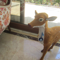 фото из отзыва ID 1005590