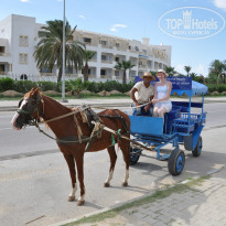 фото из отзыва ID 1006117