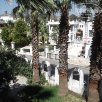 фото из отзыва ID 1006210