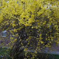 фото из отзыва ID 1006271