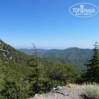 фото из отзыва ID 1006349