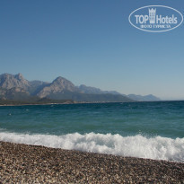 фото из отзыва ID 1006538