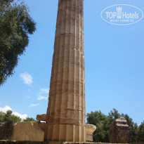 фото из отзыва ID 1006763