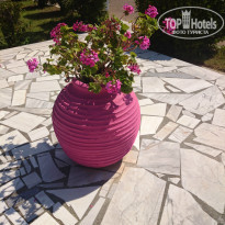 фото из отзыва ID 1006763