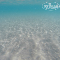 фото из отзыва ID 1006763