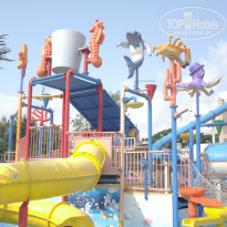 фото из отзыва ID 1006835