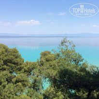 фото из отзыва ID 1006850