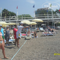 фото из отзыва ID 1006906