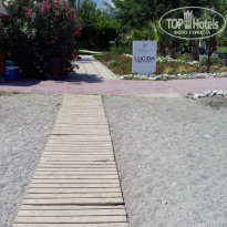 фото из отзыва ID 1006929