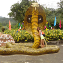 фото из отзыва ID 1007344