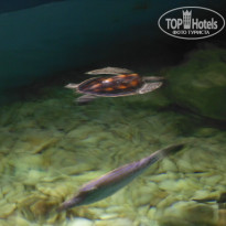 фото из отзыва ID 1007344