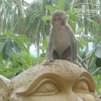 фото из отзыва ID 1007344