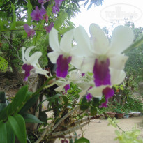 фото из отзыва ID 1007344