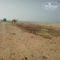 фото из отзыва ID 1007347