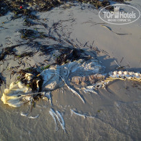 фото из отзыва ID 1007480