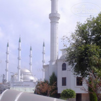 фото из отзыва ID 1007638