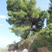 фото из отзыва ID 1007694