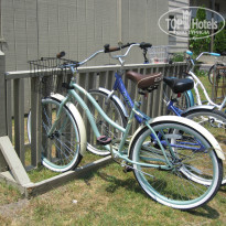 фото из отзыва ID 1007697