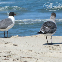 фото из отзыва ID 1007697