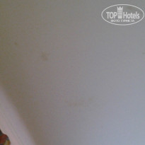 фото из отзыва ID 1007793