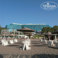 фото из отзыва ID 1006333