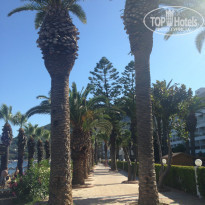 фото из отзыва ID 1007908