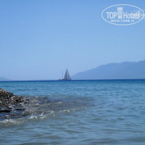 фото из отзыва ID 1007947