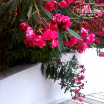 фото из отзыва ID 1007977