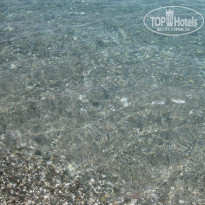 фото из отзыва ID 1005777