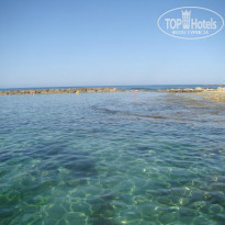 фото из отзыва ID 1008242