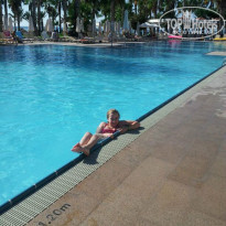 фото из отзыва ID 1008242