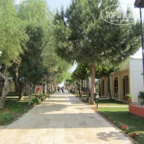 фото из отзыва ID 1008249