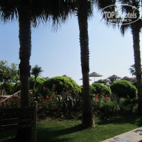 фото из отзыва ID 1008249