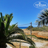 фото из отзыва ID 1008280