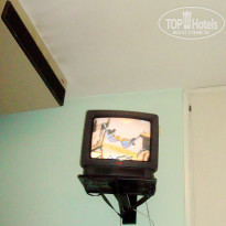 фото из отзыва ID 1008305