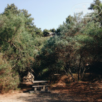 фото из отзыва ID 1003482