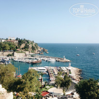 фото из отзыва ID 1003482