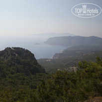 фото из отзыва ID 1008352